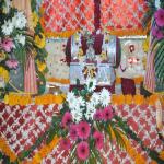 Vraj-Yatra-2014- (562)